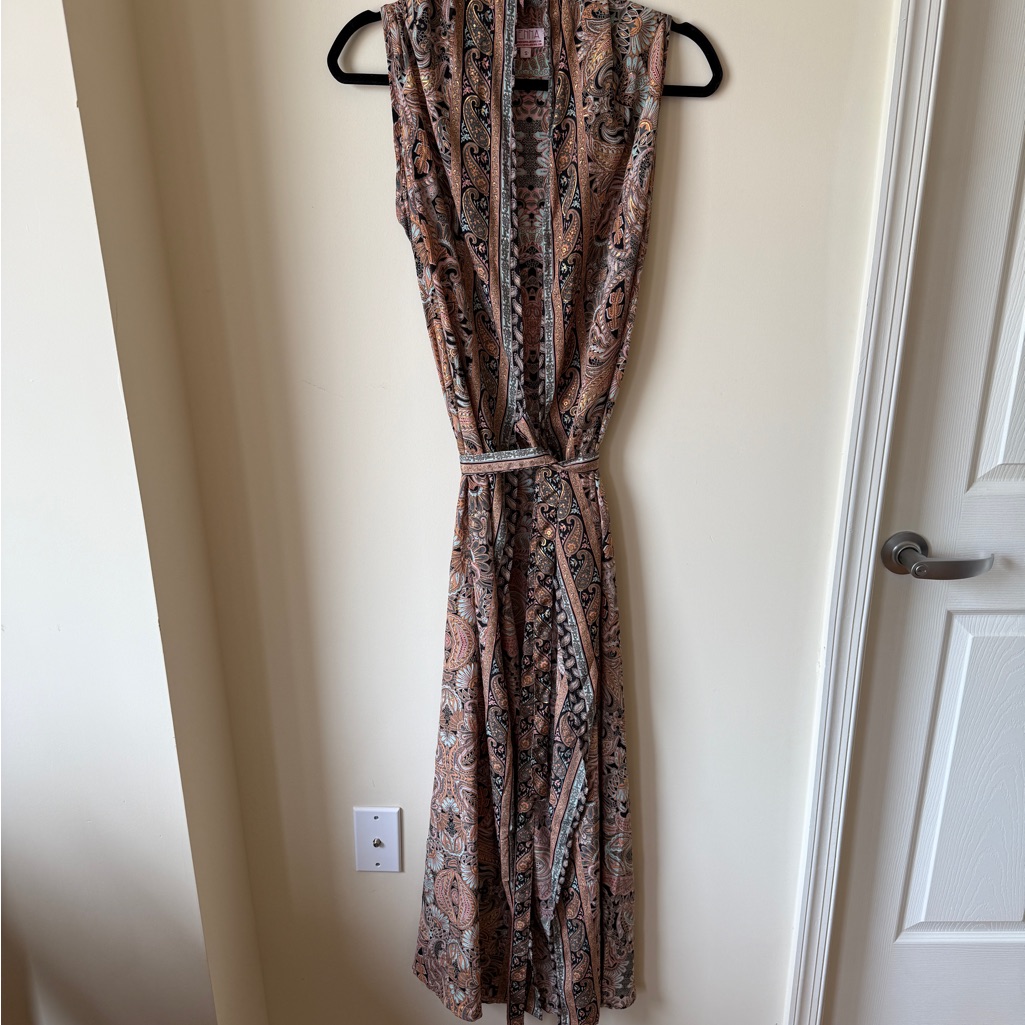 Cienna Boho Paisley Print Silk Blend Maxi Dress
